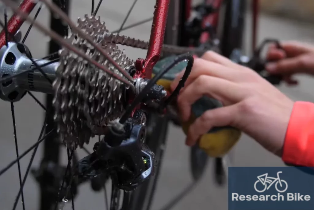 When Should You Replace Your Bike Cassette